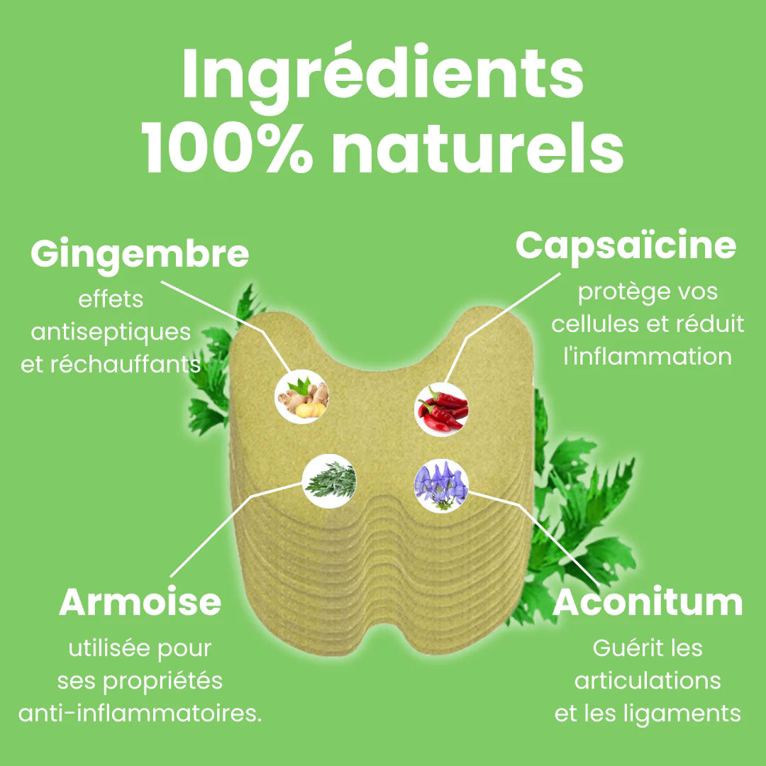 🔥 Patch Anti-Douleur Naturel SanaVie – Soulage Vos Douleurs en 30 Minutes Sans Médicament
